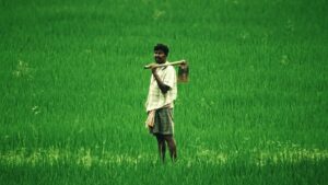 Importance and worth of Farmers work
